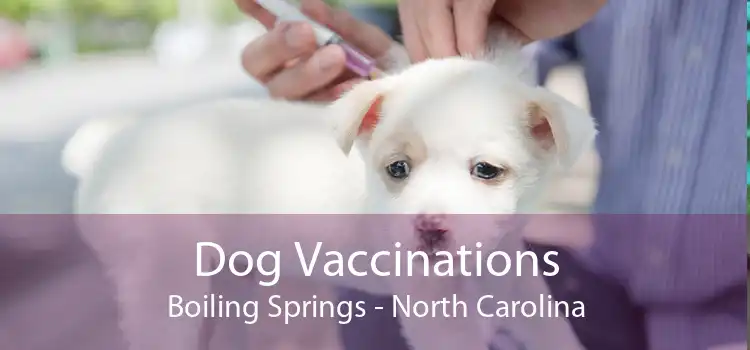 Dog Vaccinations Boiling Springs - North Carolina
