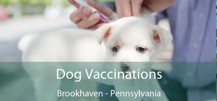 Dog Vaccinations Brookhaven - Pennsylvania