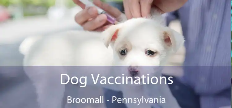 Dog Vaccinations Broomall - Pennsylvania