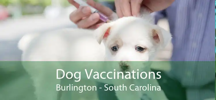 Dog Vaccinations Burlington - South Carolina