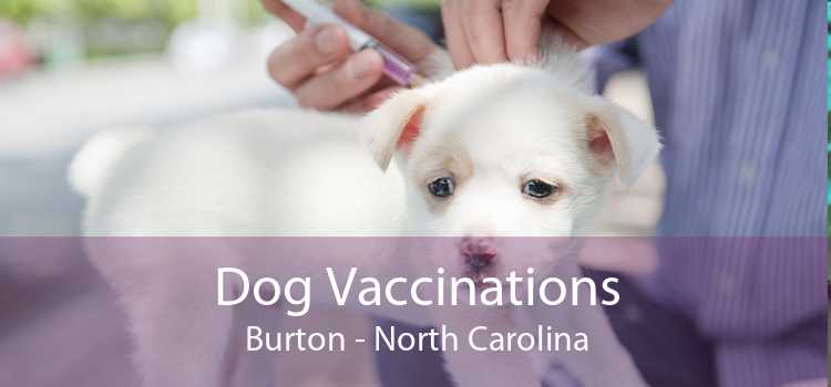 Dog Vaccinations Burton - North Carolina
