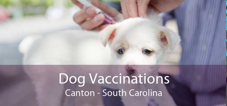Dog Vaccinations Canton - South Carolina