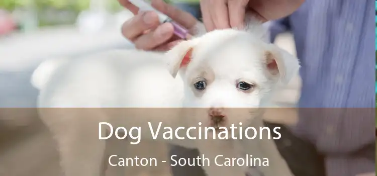 Dog Vaccinations Canton - South Carolina