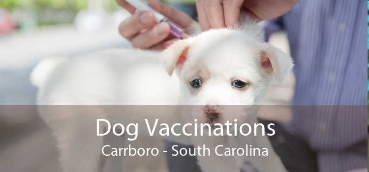 Dog Vaccinations Carrboro - South Carolina