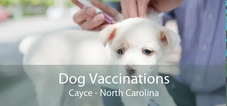 Dog Vaccinations Cayce - North Carolina
