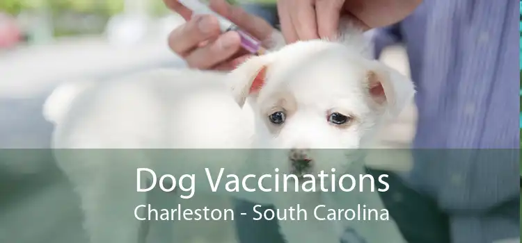 Dog Booster Vaccine In Charleston SC