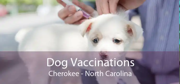Dog Vaccinations Cherokee - North Carolina