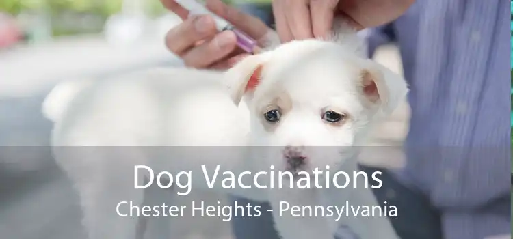 Dog Vaccinations Chester Heights - Pennsylvania