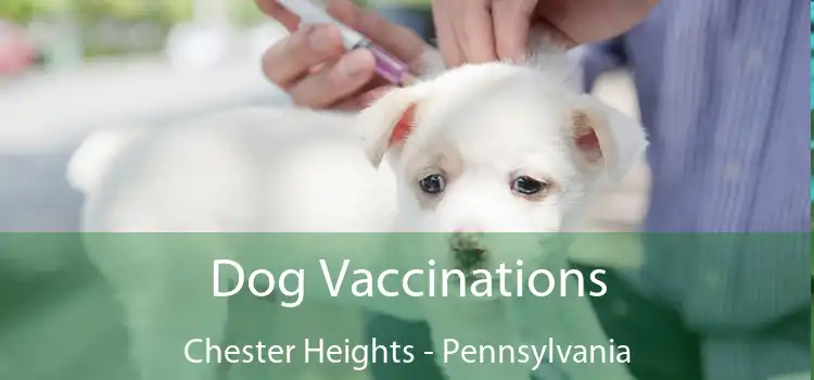 Dog Vaccinations Chester Heights - Pennsylvania