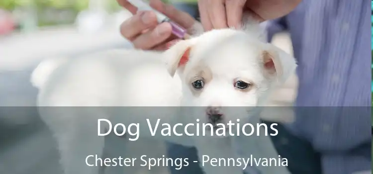 Dog Vaccinations Chester Springs - Pennsylvania