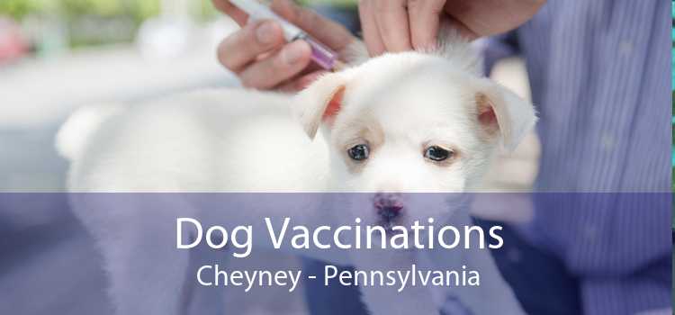 Dog Vaccinations Cheyney - Pennsylvania