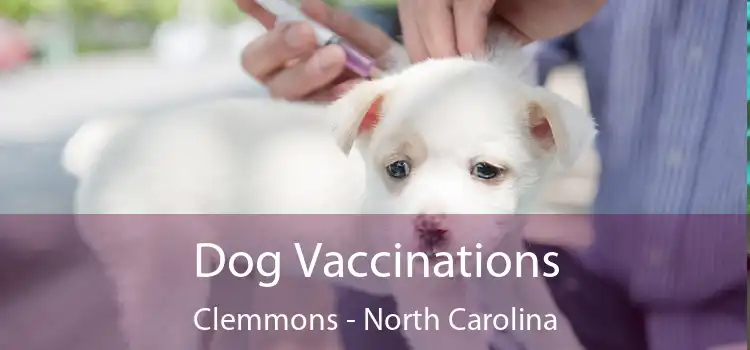 Dog Vaccinations Clemmons - North Carolina