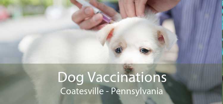 Dog Vaccinations Coatesville - Pennsylvania