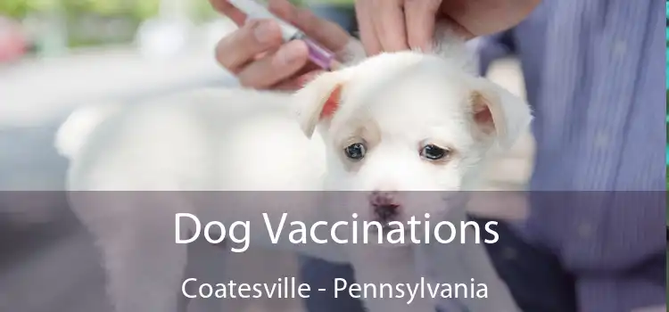 Dog Vaccinations Coatesville - Pennsylvania