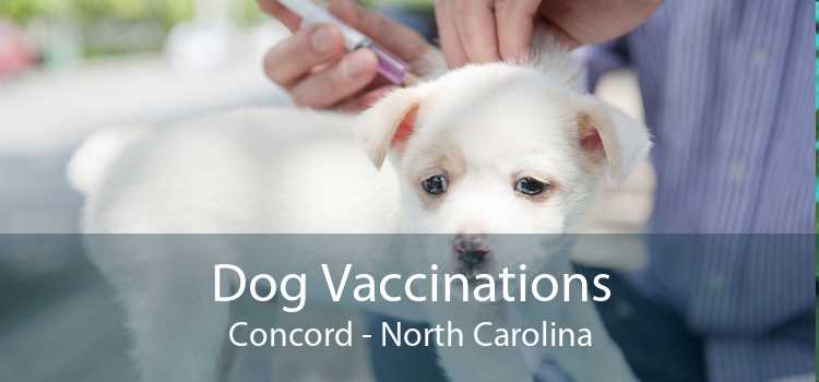 Dog Vaccinations Concord - North Carolina