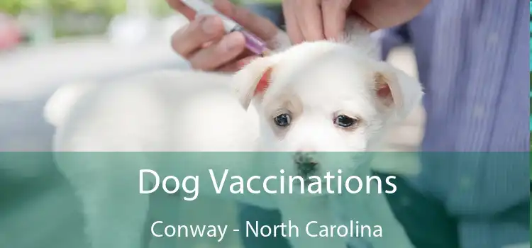 Dog Vaccinations Conway - North Carolina