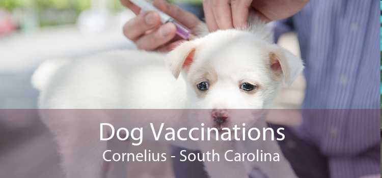 Dog Vaccinations Cornelius - South Carolina