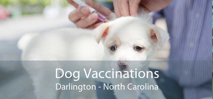 Dog Vaccinations Darlington - North Carolina