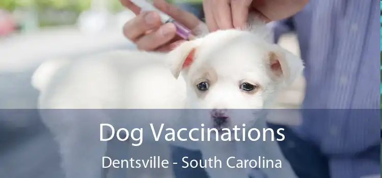 Dog Vaccinations Dentsville - South Carolina