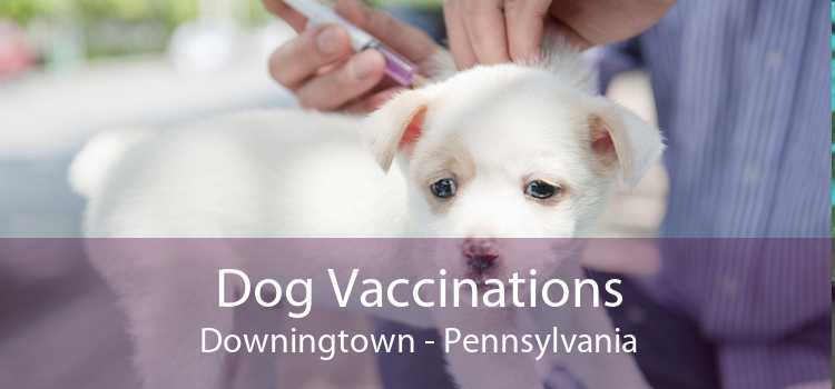 Dog Vaccinations Downingtown - Pennsylvania