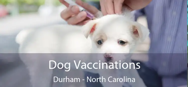 Dog Vaccinations Durham - North Carolina