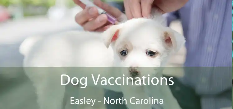 Dog Vaccinations Easley - North Carolina