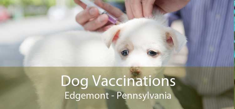 Dog Vaccinations Edgemont - Pennsylvania