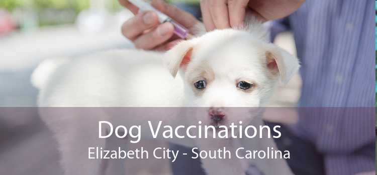 Dog Vaccinations Elizabeth City - South Carolina