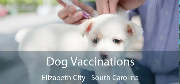 Dog Vaccinations Elizabeth City - South Carolina