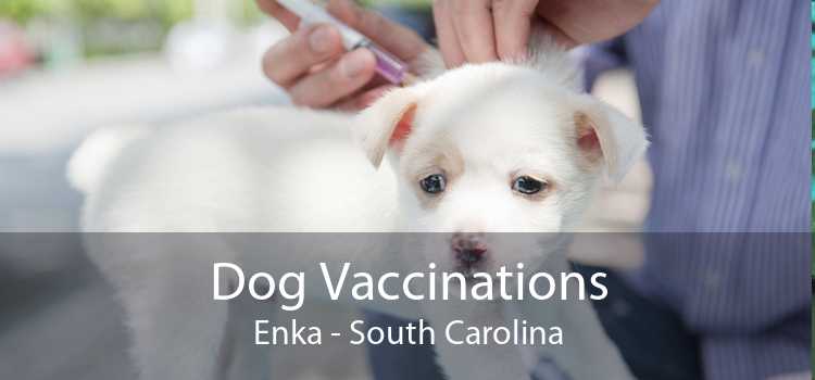 Dog Vaccinations Enka - South Carolina