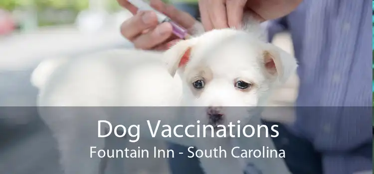 Dog Vaccinations Fountain Inn - South Carolina