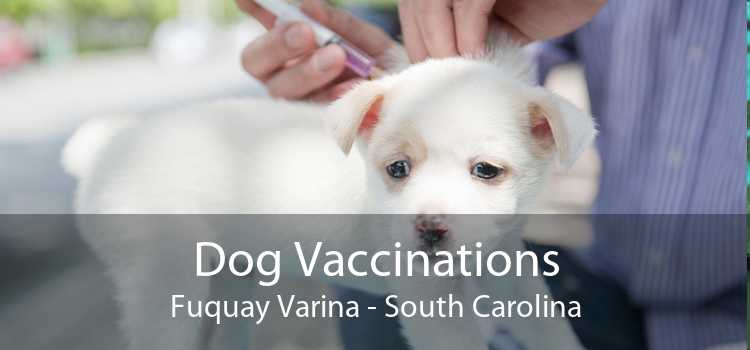 Dog Vaccinations Fuquay Varina - South Carolina