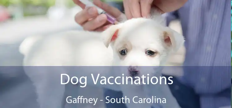 Dog Vaccinations Gaffney - South Carolina