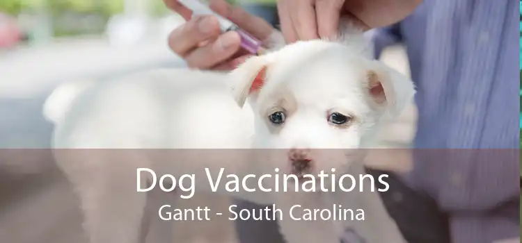 Dog Vaccinations Gantt - South Carolina
