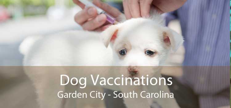 Dog Vaccinations Garden City - South Carolina