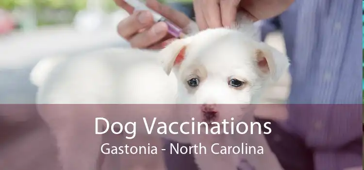 Dog Vaccinations Gastonia - North Carolina