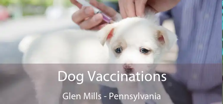 Dog Vaccinations Glen Mills - Pennsylvania