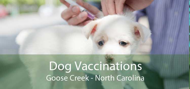 Dog Vaccinations Goose Creek - North Carolina