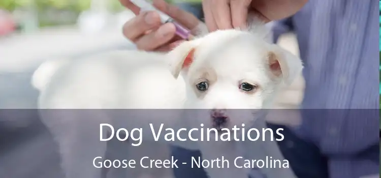 Dog Vaccinations Goose Creek - North Carolina