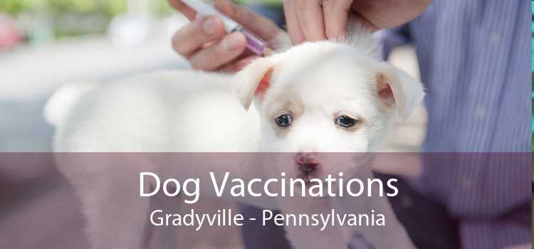 Dog Vaccinations Gradyville - Pennsylvania