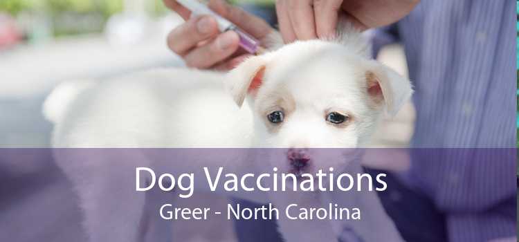 Dog Vaccinations Greer - North Carolina