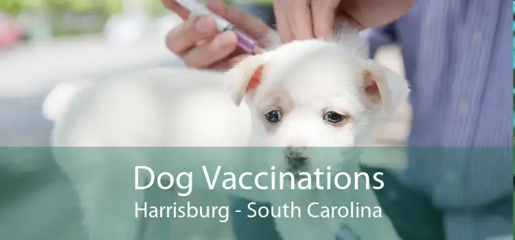 Dog Vaccinations Harrisburg - South Carolina