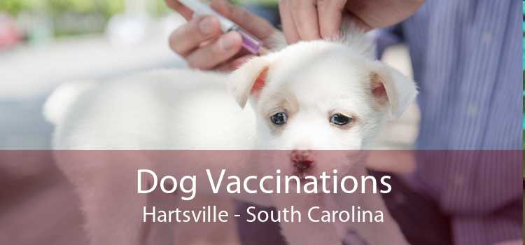Dog Vaccinations Hartsville - South Carolina