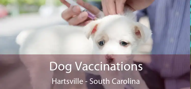 Dog Vaccinations Hartsville - South Carolina