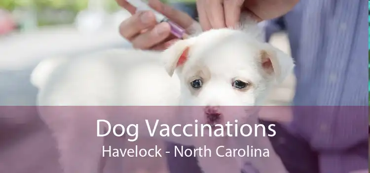 Dog Vaccinations Havelock - North Carolina