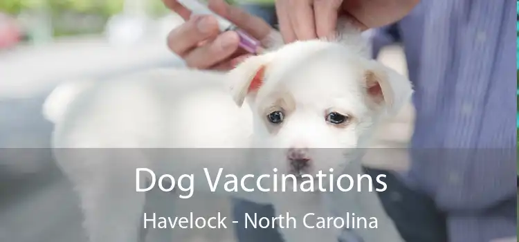 Dog Vaccinations Havelock - North Carolina