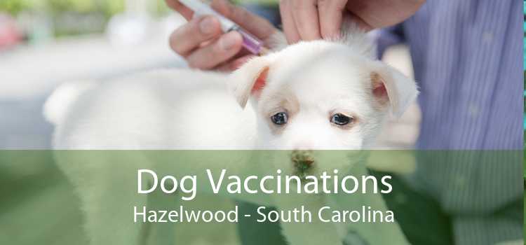 Dog Vaccinations Hazelwood - South Carolina