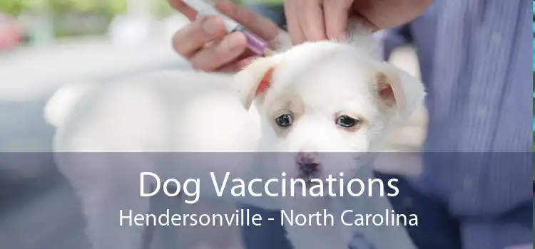 Dog Vaccinations Hendersonville - North Carolina