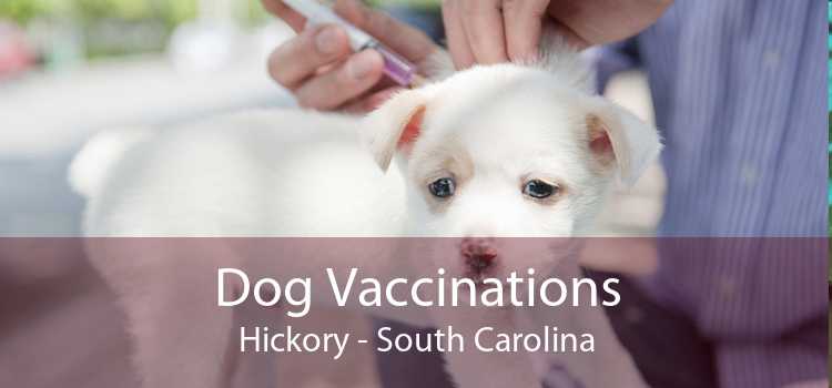 Dog Vaccinations Hickory - South Carolina