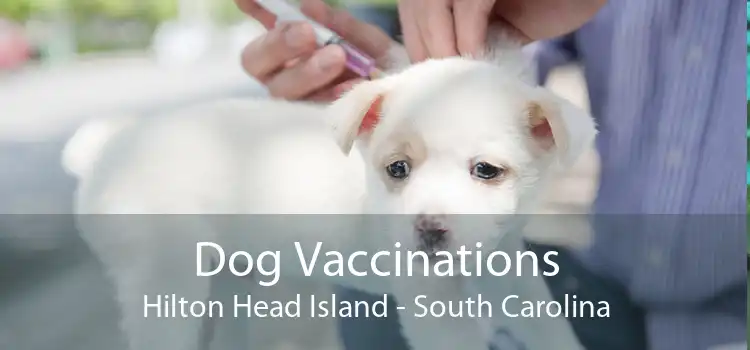 Dog Vaccinations Hilton Head Island - South Carolina